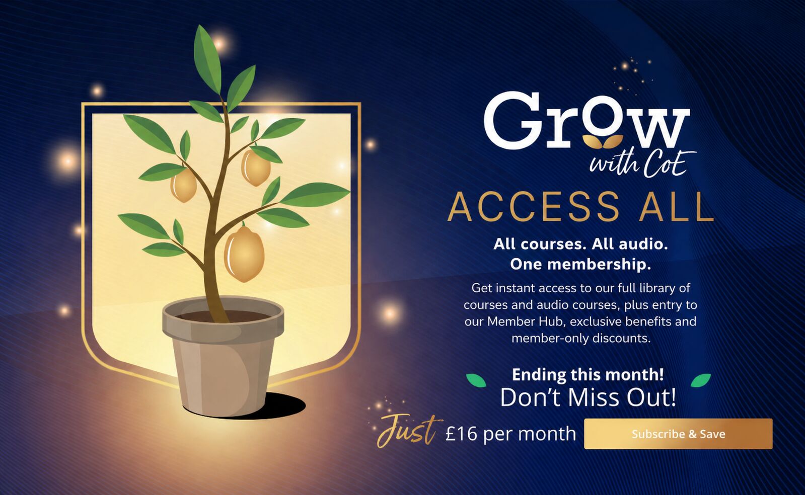 Grow Access All Banner